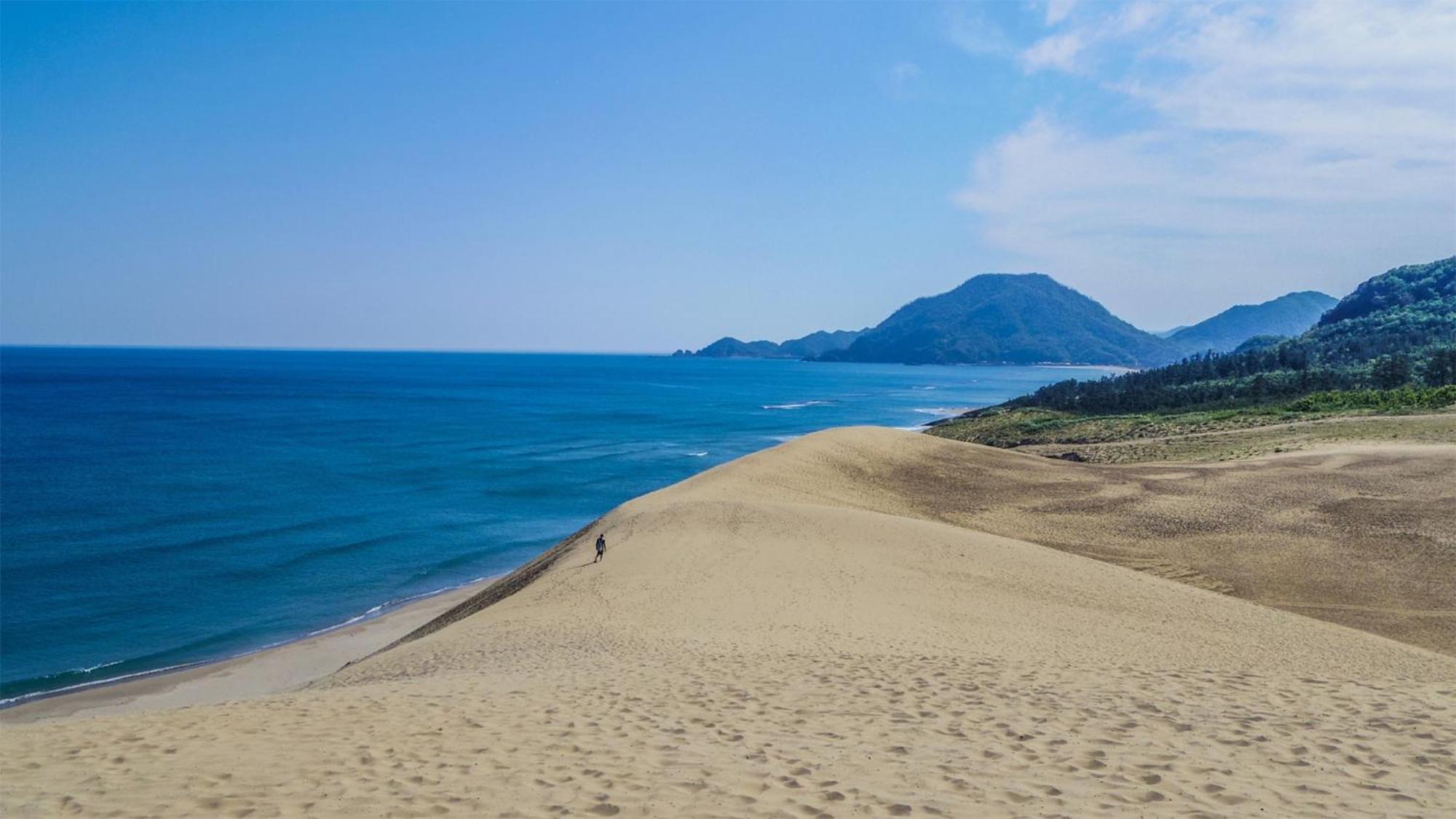 Toyoko Inn Tottori Eki Minami Guchi Ngoại thất bức ảnh